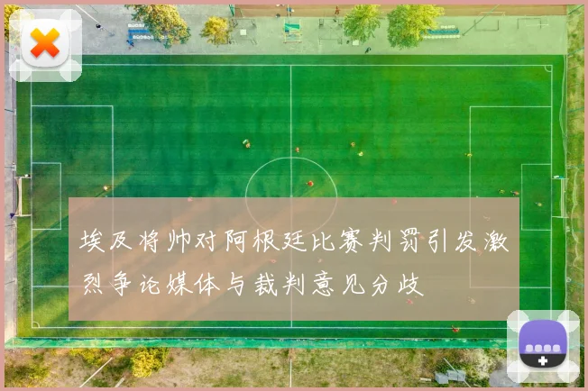 埃及将帅对阿根廷比赛判罚引发激烈争论媒体与裁判意见分歧