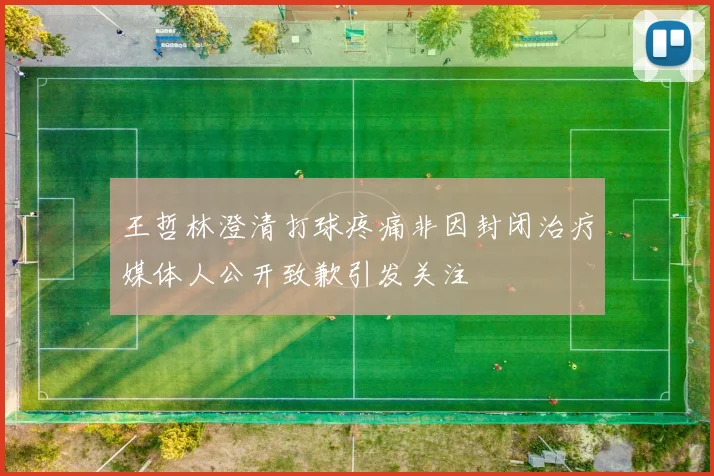 王哲林澄清打球疼痛非因封闭治疗媒体人公开致歉引发关注