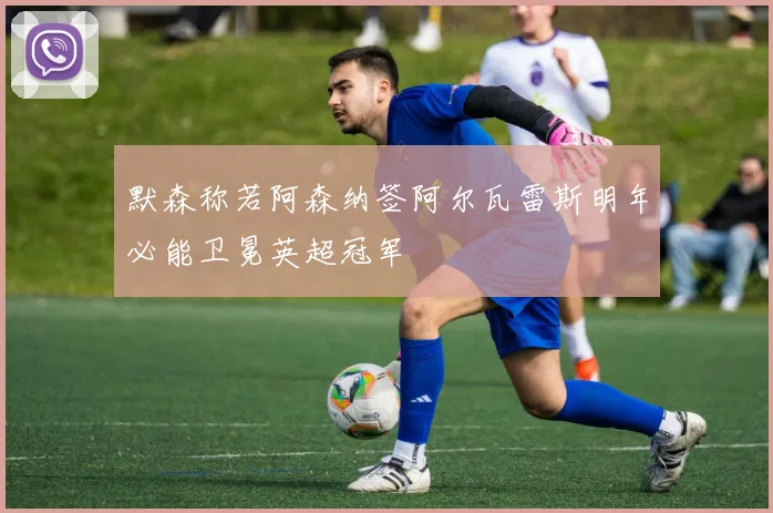 默森称若阿森纳签阿尔瓦雷斯明年必能卫冕英超冠军